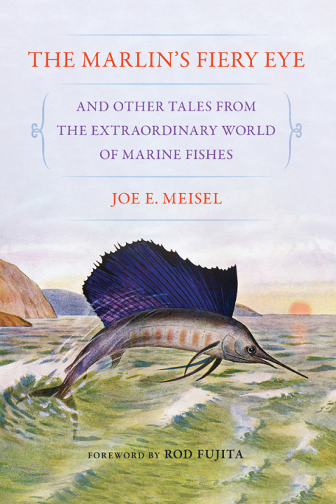 Cover image for book The Marlin's Fiery Eye and Other Tales from the Extraordinary World of Marine Fishes