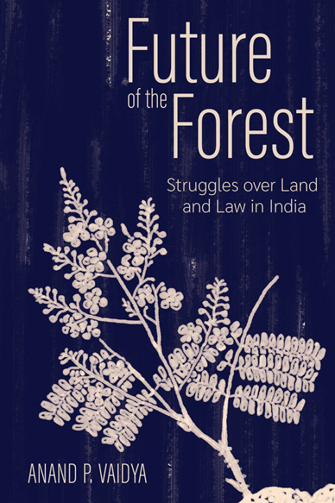 Cover image for book Future of the Forest