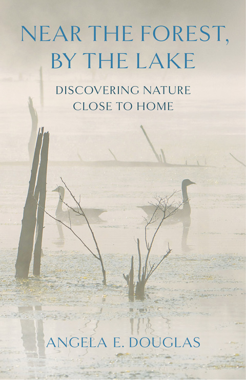 Cover image for book Near the Forest, By the Lake