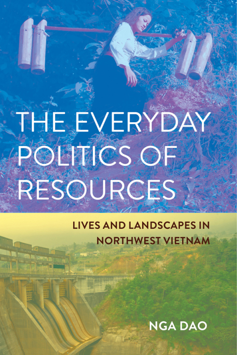 Cover image for book The Everyday Politics of Resources