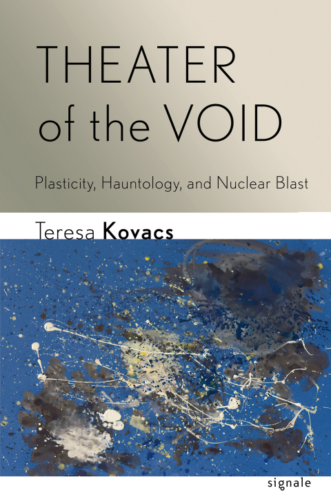 Cover image for book Theater of the Void