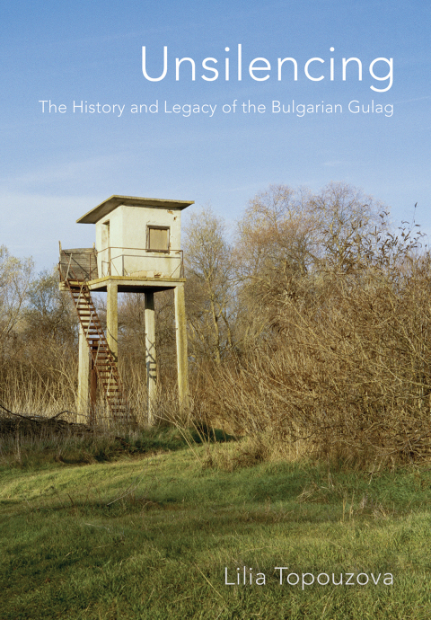 Cover image for book Unsilencing