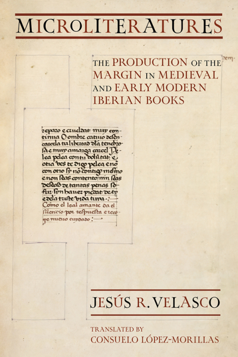 Cover image for book Microliteratures