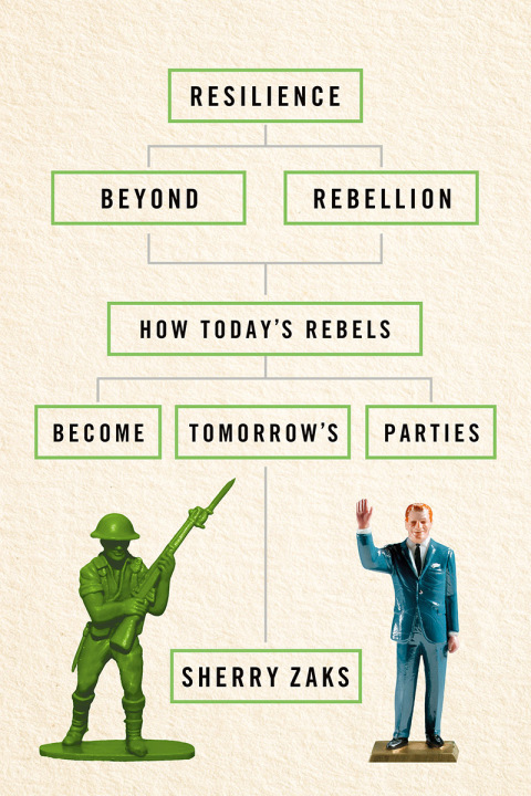 Cover image for book Resilience beyond Rebellion