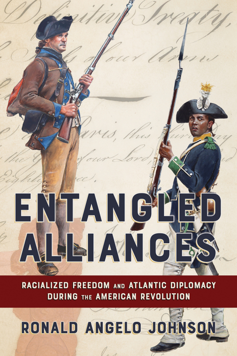 Cover image for book Entangled Alliances