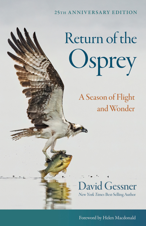 Cover image for book Return of the Osprey