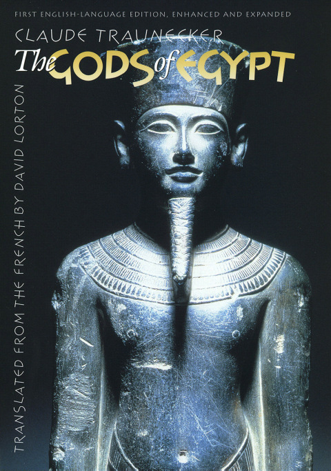 Cover image for book The Gods of Egypt