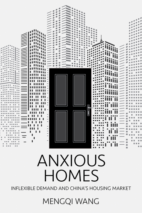 Cover image for book Anxious Homes