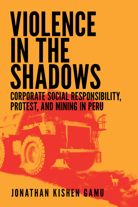 Cover image for book Violence in the Shadows