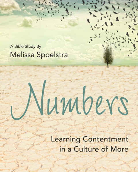 Cover image for book Numbers - Women's Bible Study Participant Workbook