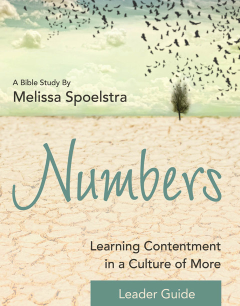 Cover image for book Numbers - Women's Bible Study Leader Guide