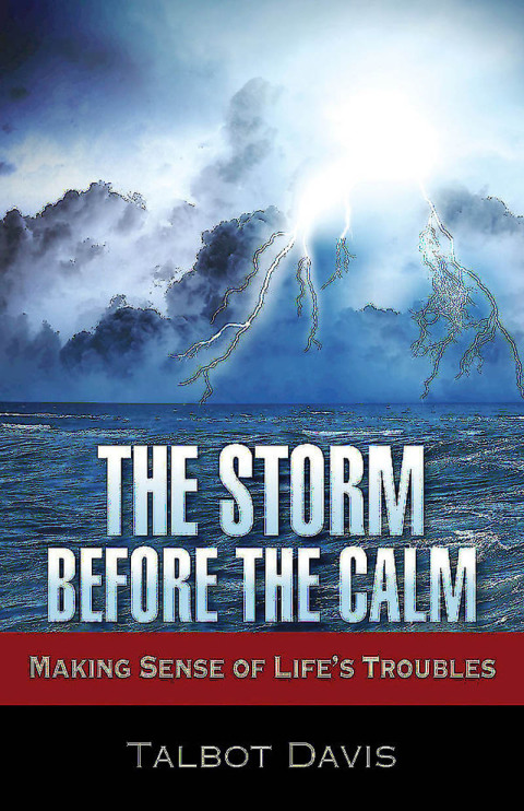 Cover image for book The Storm Before the Calm