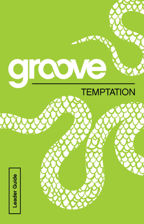 Cover image for book Groove: Temptation Leader Guide