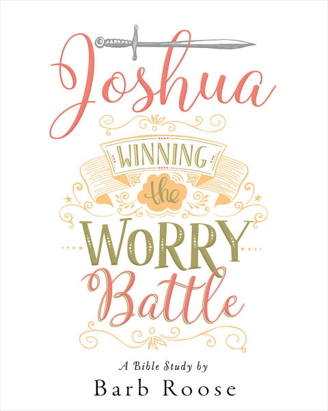 Cover image for book Joshua - Women's Bible Study Participant Workbook