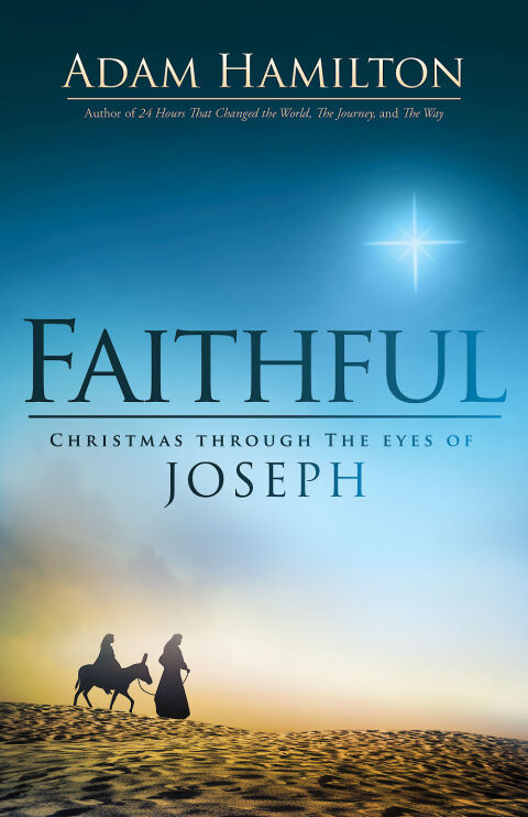 Cover image for book Faithful