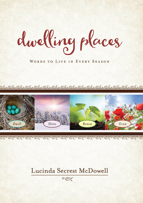 Cover image for book Dwelling Places