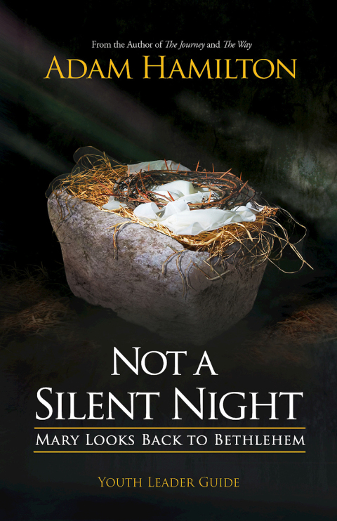 Cover image for book Not a Silent Night Youth Leader Guide