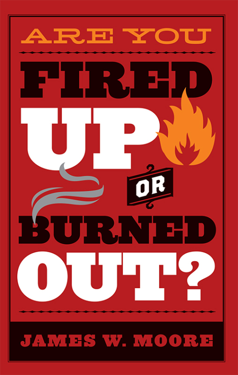 Cover image for book Are You Fired Up or Burned Out?