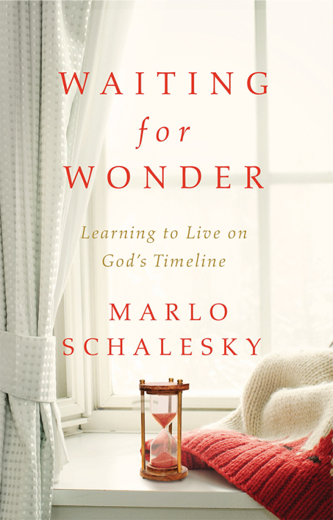 Cover image for book Waiting for Wonder
