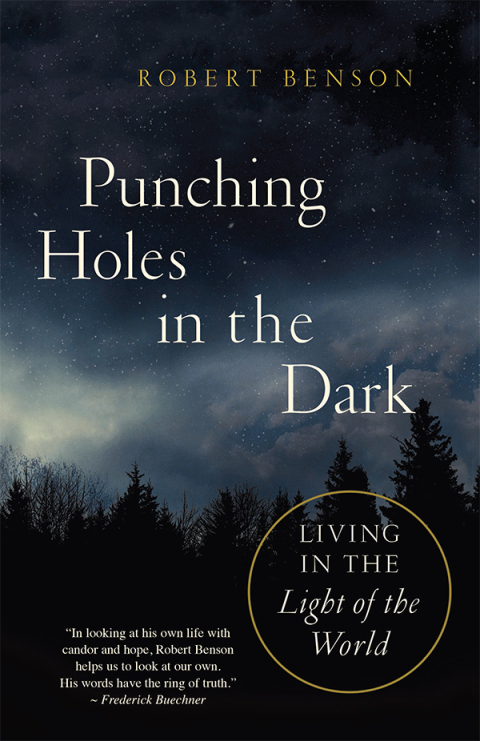Cover image for book Punching Holes in the Dark