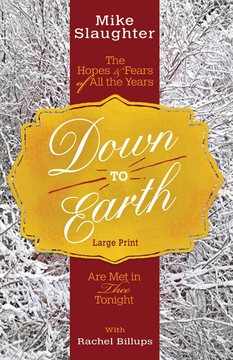 Cover image for book Down to Earth [Large Print]
