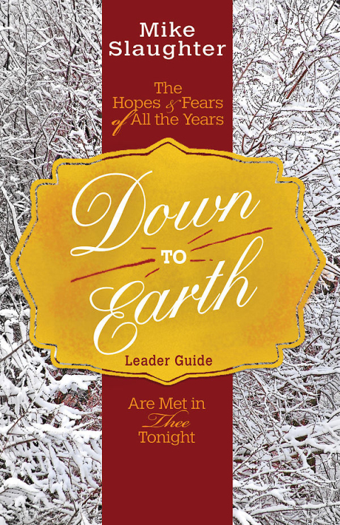 Cover image for book Down to Earth Leader Guide