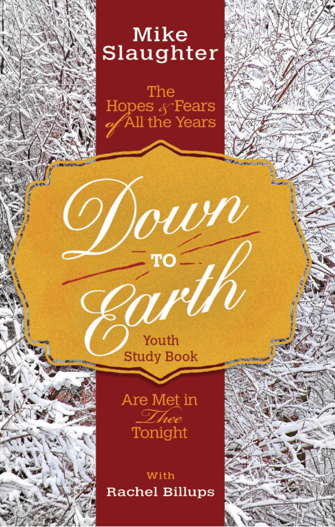 Cover image for book Down to Earth Youth Study Book