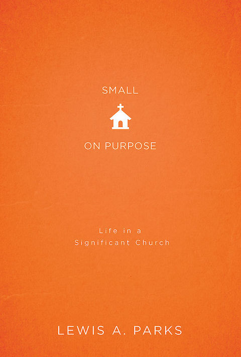Cover image for book Small on Purpose