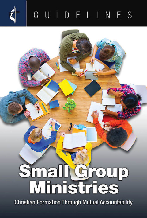 Cover image for book Guidelines Small Group Ministries