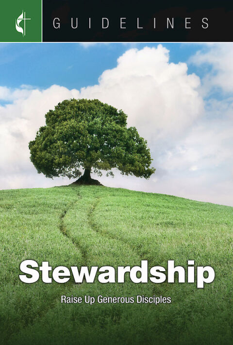 Cover image for book Guidelines Stewardship