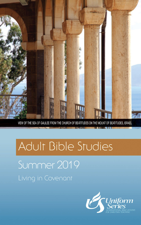 Cover image for book Adult Bible Studies Summer 2019 Student [Large Print]