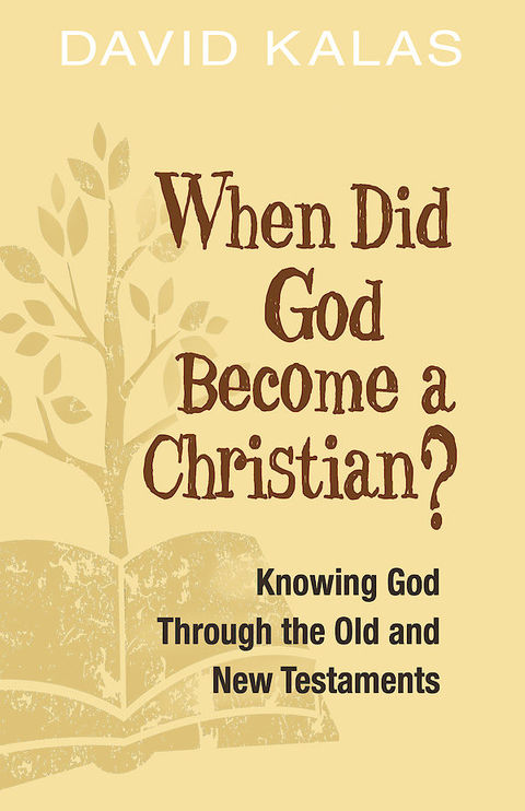 Cover image for book When Did God Become a Christian?