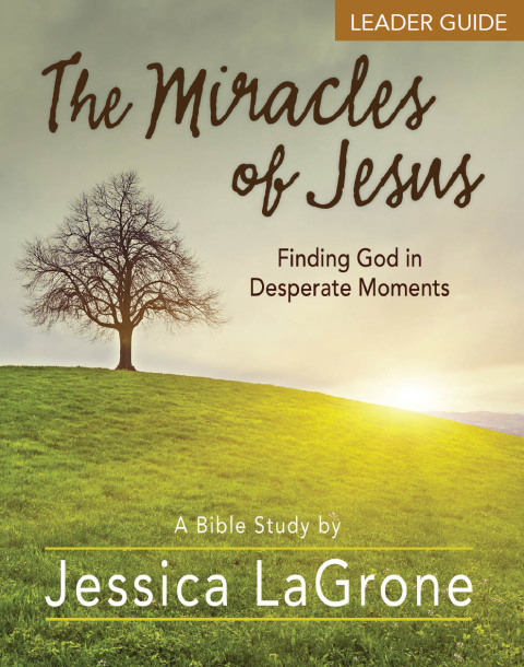 Cover image for book The Miracles of Jesus - Women's Bible Study Leader Guide