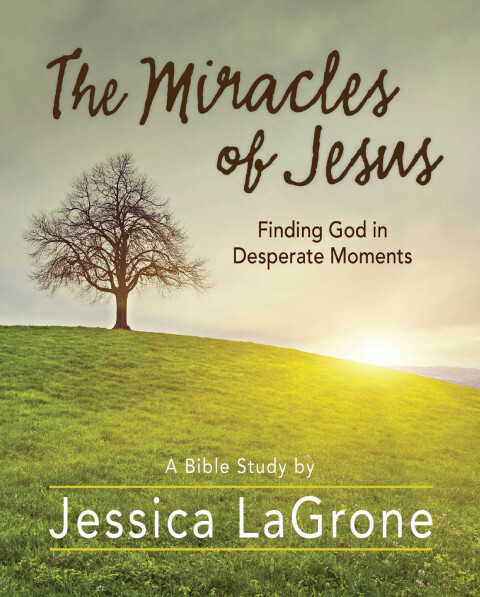 Cover image for book The Miracles of Jesus - Women's Bible Study Participant Workbook