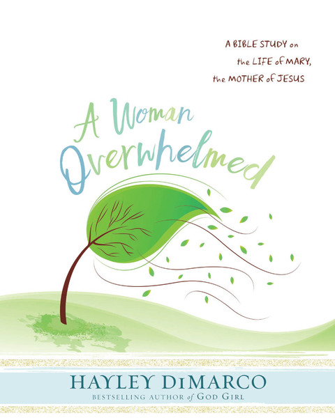 Cover image for book A Woman Overwhelmed - Women's Bible Study Participant Workbook