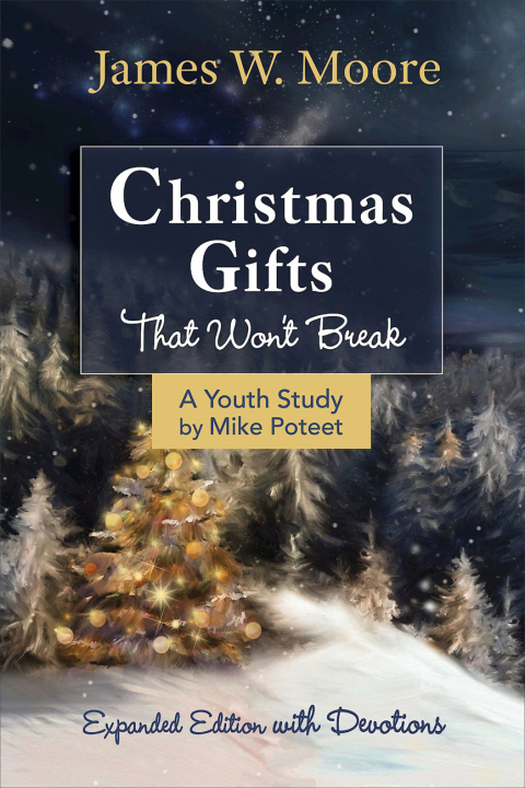 Cover image for book Christmas Gifts That Won't Break Youth Study