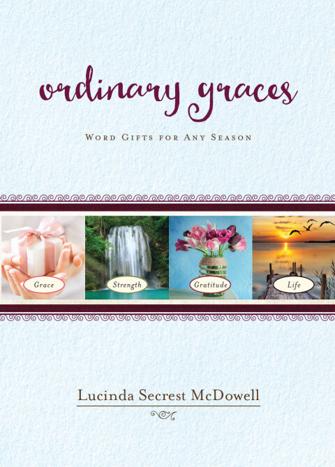 Cover image for book Ordinary Graces