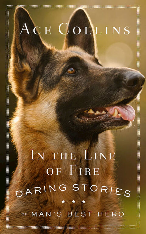 Cover image for book In the Line of Fire