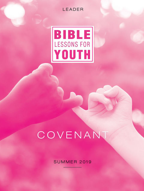 Cover image for book Bible Lessons for Youth Summer 2019 Leader