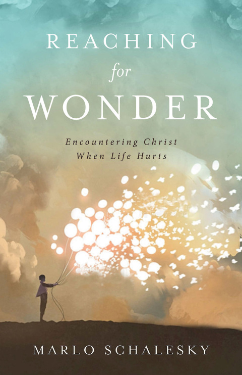 Cover image for book Reaching for Wonder