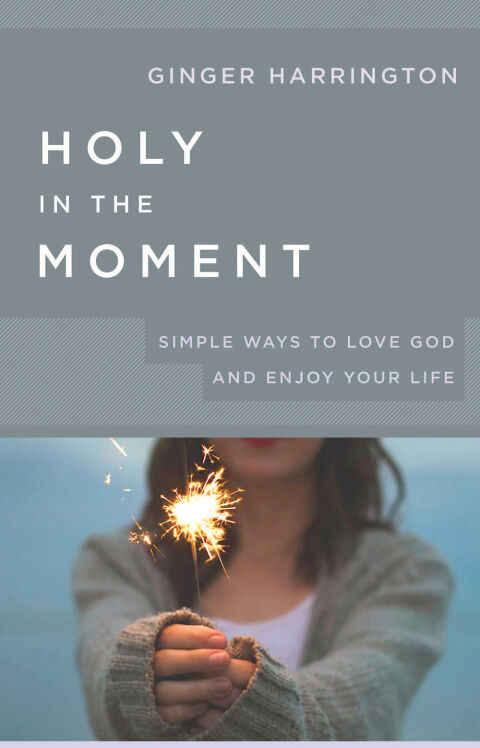 Cover image for book Holy in the Moment