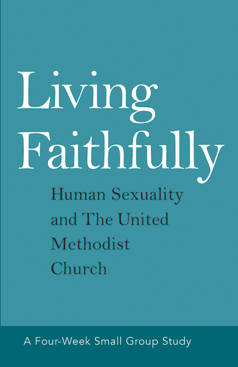 Cover image for book Living Faithfully
