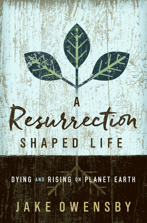 Cover image for book A Resurrection Shaped Life
