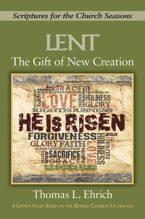 Cover image for book The Gift of New Creation [Large Print]
