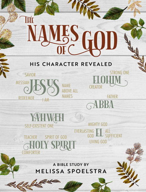 Cover image for book The Names of God - Women's Bible Study Participant Workbook