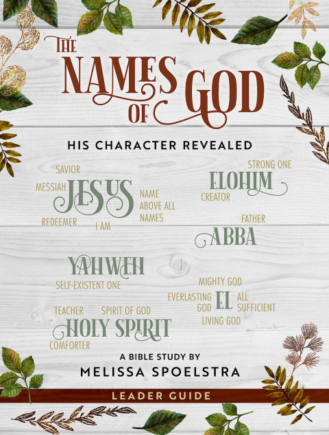 Cover image for book The Names of God - Women's Bible Study Leader Guide