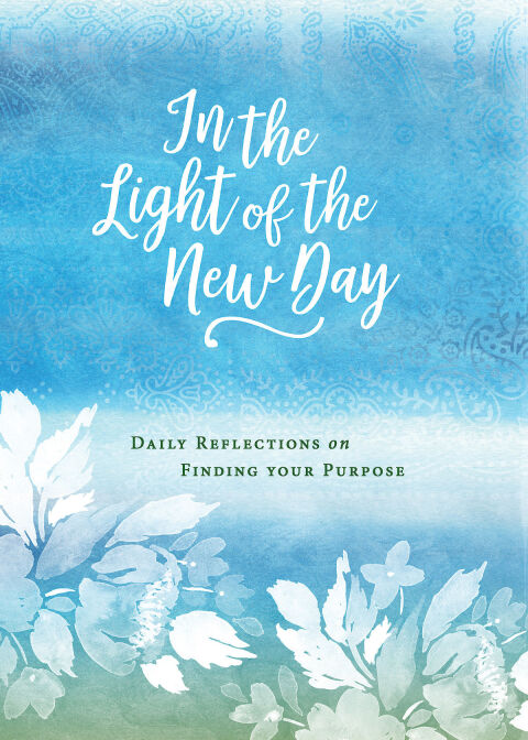 Cover image for book In the Light of the New Day