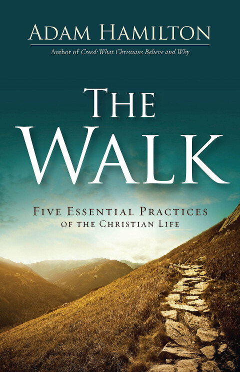 Cover image for book The Walk