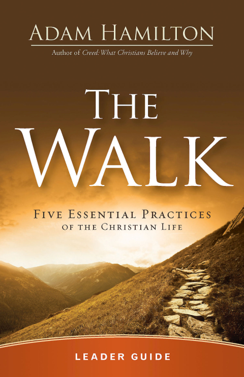 Cover image for book The Walk Leader Guide