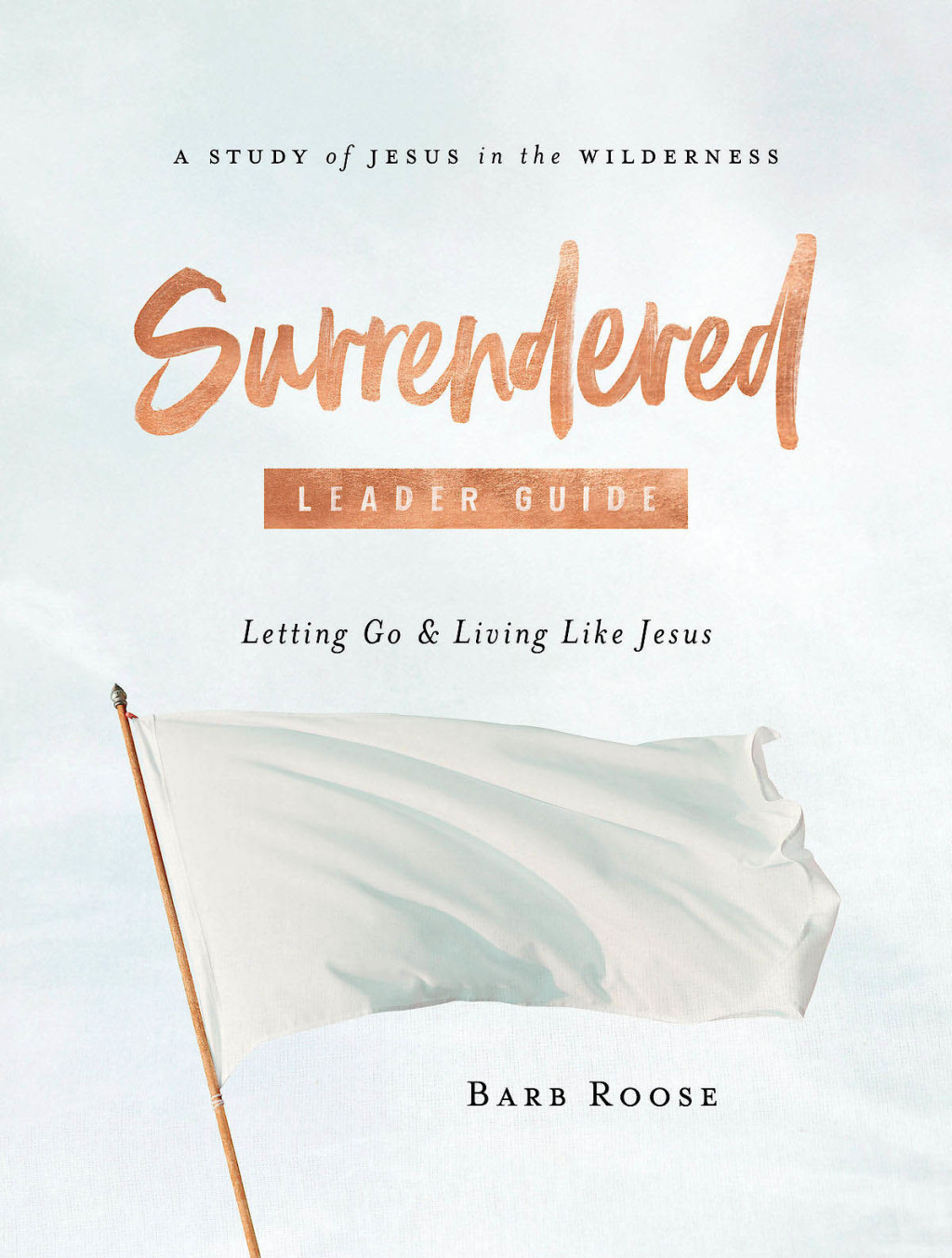 Reflowable Surrendered - Women's Bible Study Leader Guide; $18.86